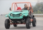 Adults Go Kart 300cc Strong Off Road Buggy 45 Degree Climbing Gradeability
