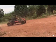 Xe go kart 150cc 2 chỗ