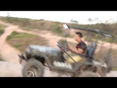 Xe go kart 300cc 2 bánh chủ động