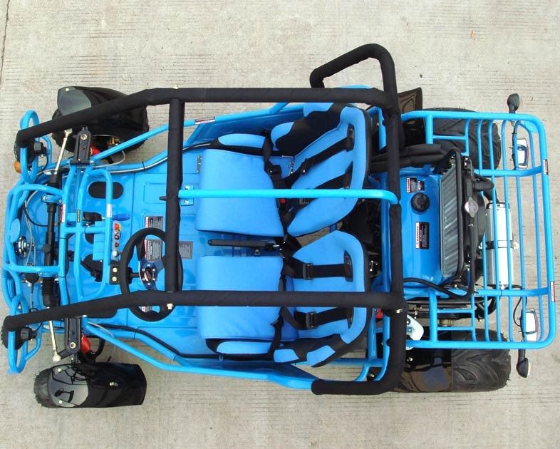 250cc Go Kart Buggy Double A Arm / Single A - Arm with CVT Reverse / Road Tyre