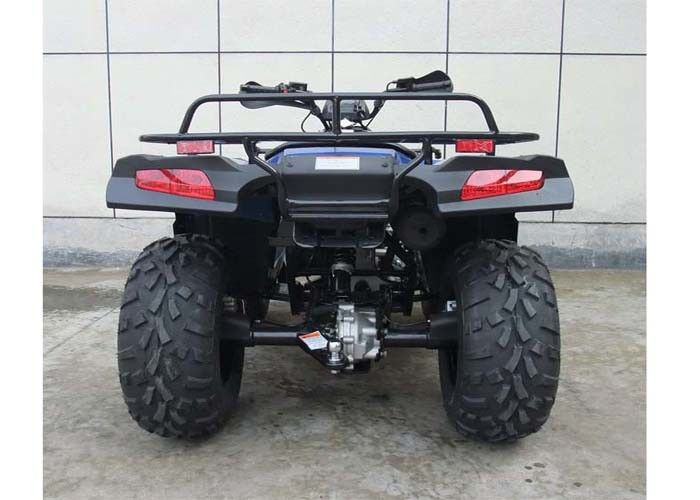Tốc độ nhanh Thể thao bốn bánh 300cc, Đua bốn bánh 4 thì với động cơ CB CVT