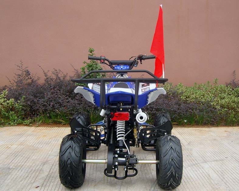 Phanh đĩa trước / sau Bốn bánh cho người lớn, 110cc Bốn bánh khởi động bằng điện