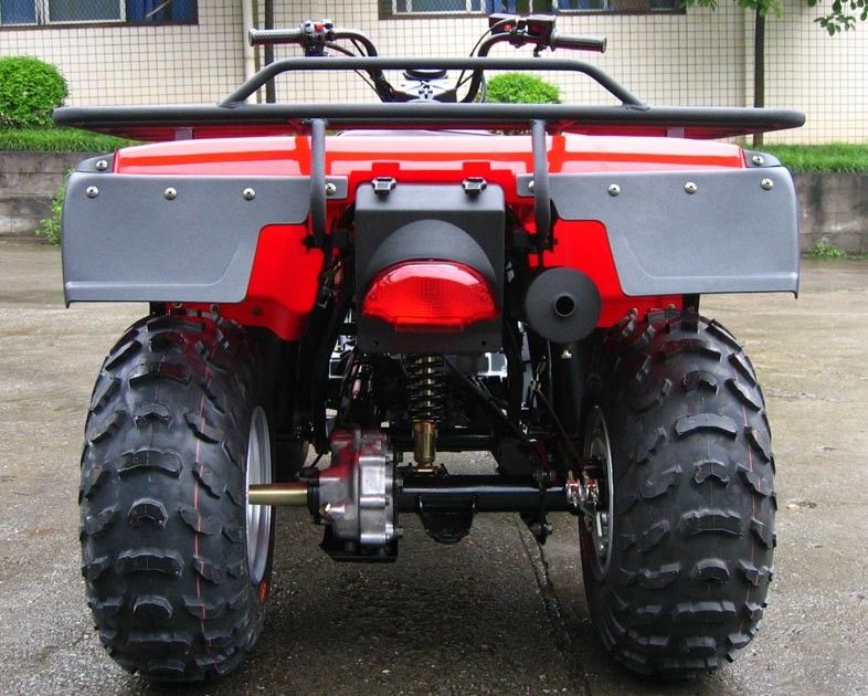 Tiện ích Xe mô tô bốn bánh 250cc 4 bánh ATV với ổ trục cỡ lớn