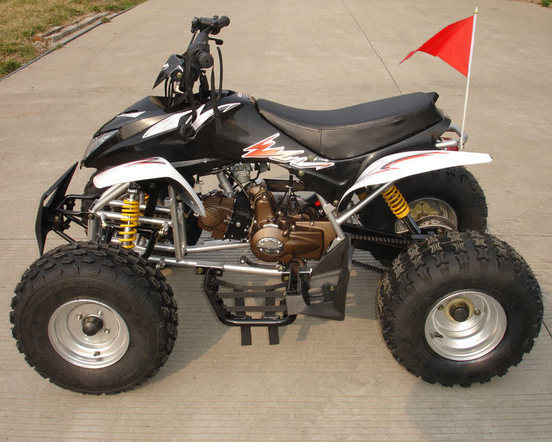 Kích thước trung bình Bốn bánh ATV 110cc hoàn toàn tự động với phanh trống đôi phía trước