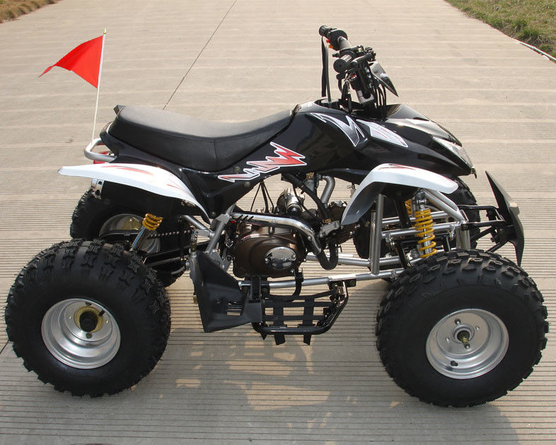 Kích thước trung bình Bốn bánh ATV 110cc hoàn toàn tự động với phanh trống đôi phía trước