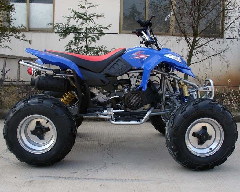 Kích thước cực lớn 10 