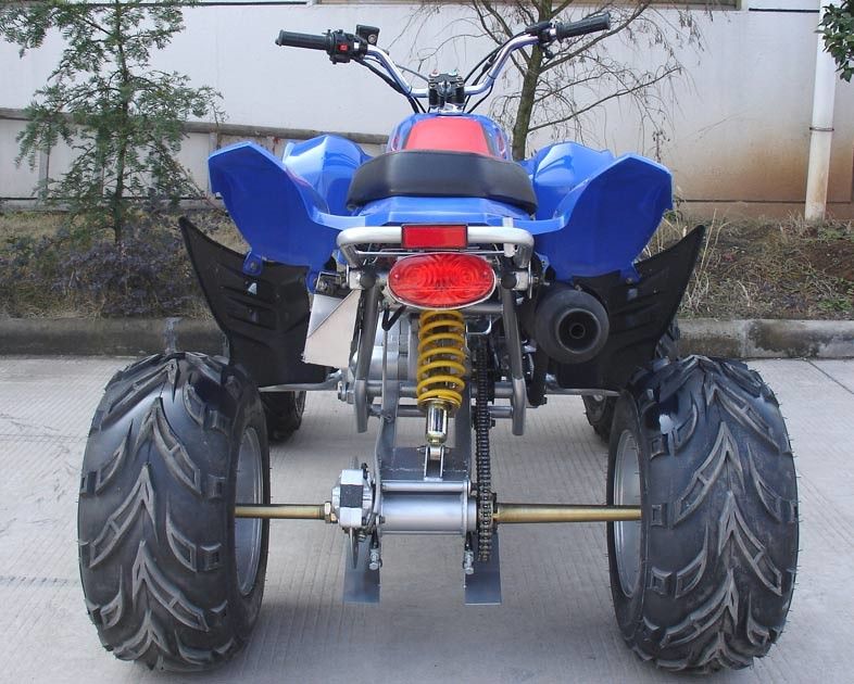 Kích thước cực lớn 10 