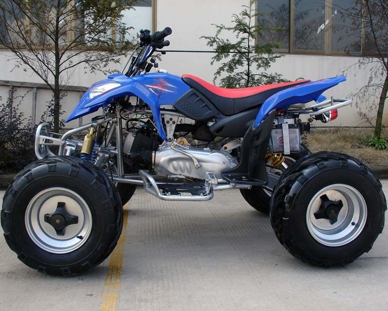 Kích thước cực lớn 10 