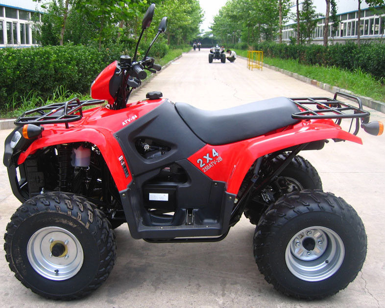 Thanh niên làm mát bằng dầu Atv 260cc với hộp số đảo ngược kích thước lớn / Hộp số bên trong