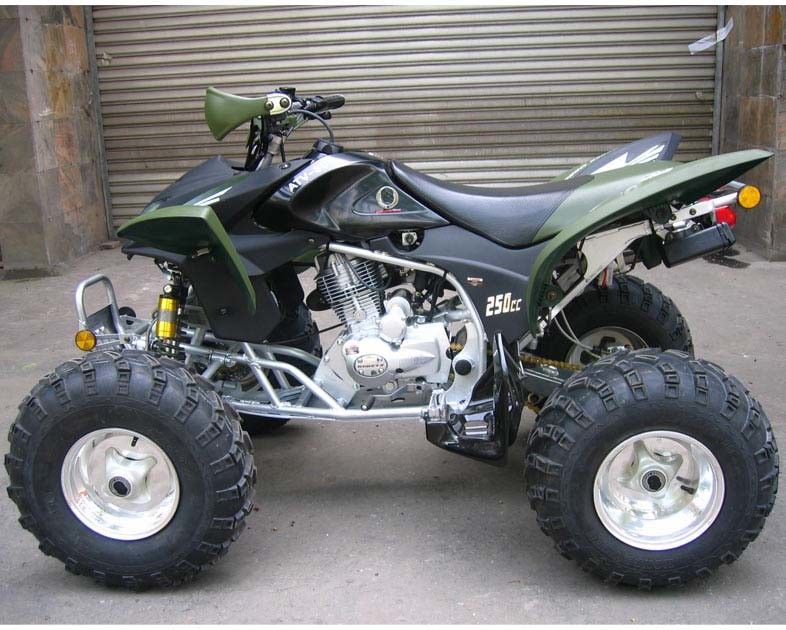 Thanh niên đua cực lớn Atv 250cc Atv Quad Bike CDI Khởi động bằng tay
