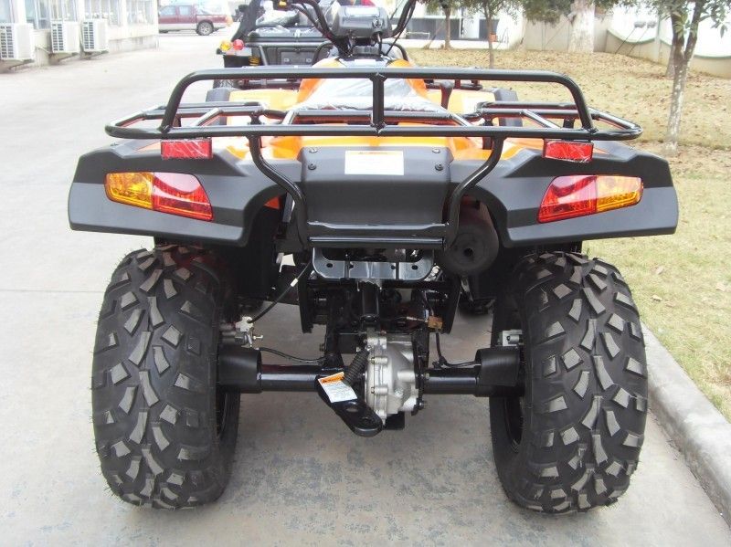 Xe tiện ích 300CC Atv 40,3mile / H với 2 chỗ ngồi, Cánh tay đôi / Cánh tay đơn