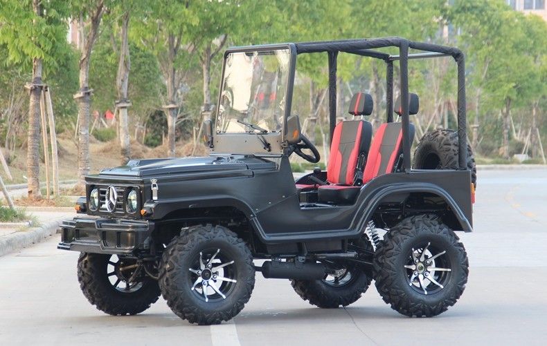 Mini Jeep 4WD Racing ATV Sports Go Kart Buggy dành cho người lớn, 300cc Go Kart