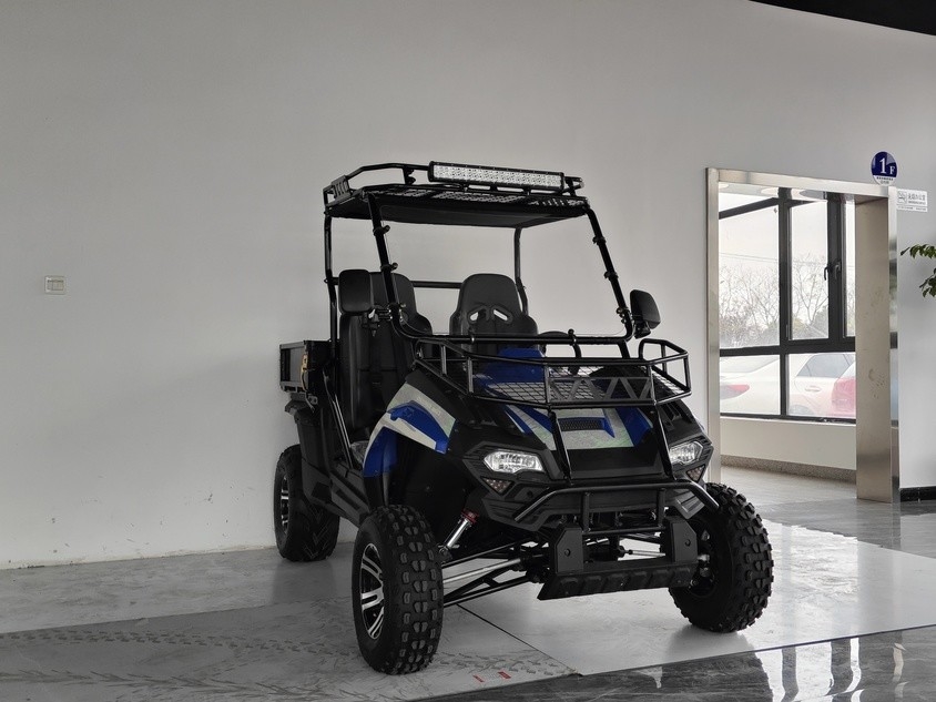 Xe sử dụng xăng 200EUX (EFI) Utv CTV tự động Với đảo ngược xuống 32 độ