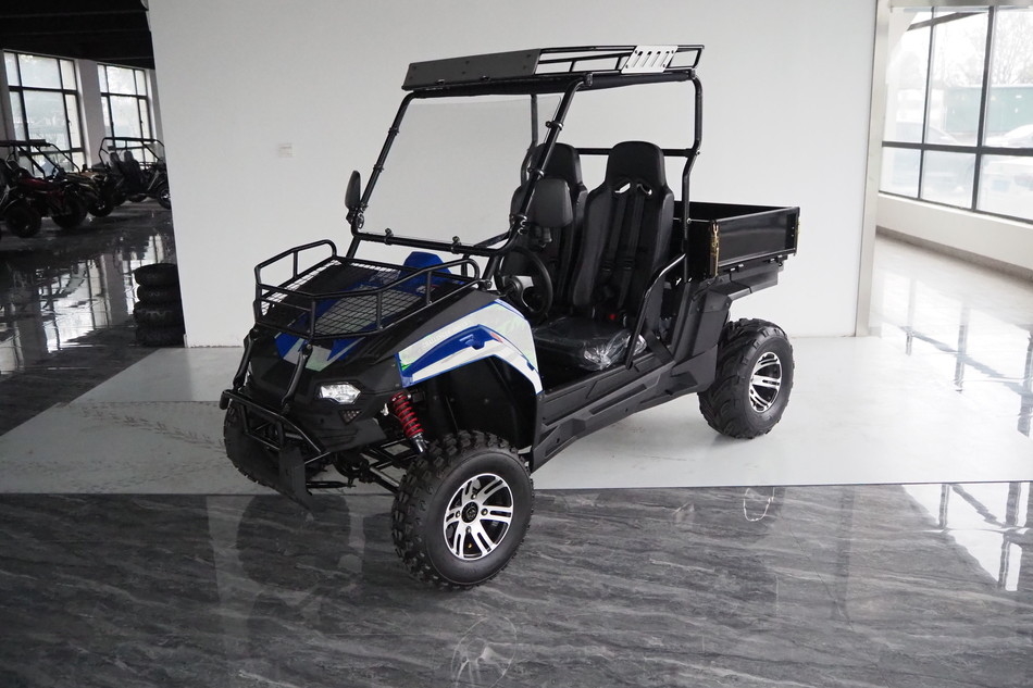 Xe sử dụng xăng 200EUX (EFI) Utv CTV tự động Với đảo ngược xuống 32 độ