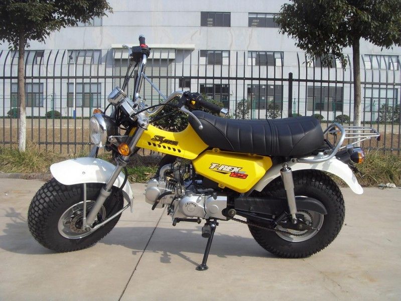 Skyteam T - Xe đạp mini Rex 125 125cc, Xe máy 2 người với 4 tốc độ