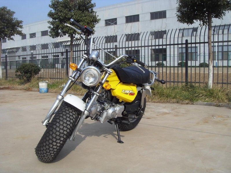 Skyteam T - Xe đạp mini Rex 125 125cc, Xe máy 2 người với 4 tốc độ