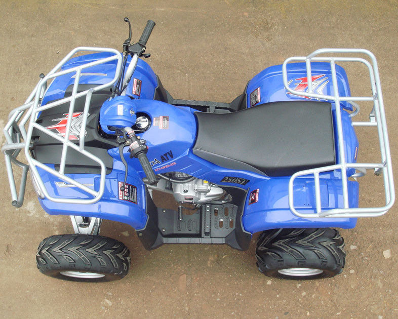 Xe máy điện 8 bánh Rim 250cc ATV Quad Bike 4 bánh với ly hợp tay