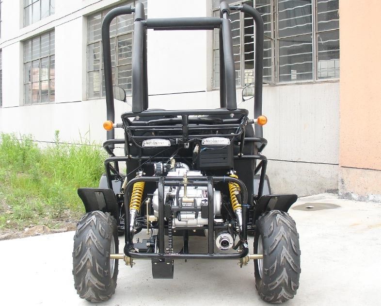 Nhỏ 3 tốc độ 110cc Go Kart Buggy Hai chỗ ngồi với CDI Electirc Start