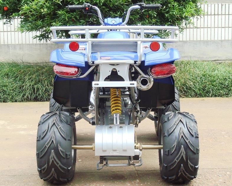 200c Kích thước lớn Thanh niên Racing ATV 10 