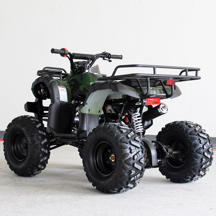 110cc Loại ngang dành cho giới trẻ Racing ATV CVT Hộp số 7L