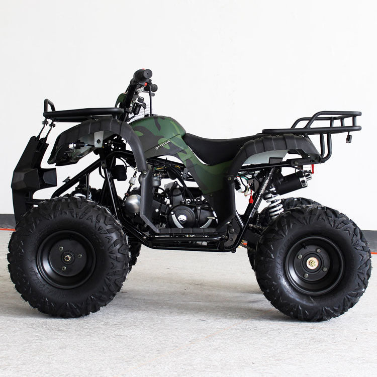 110cc Loại ngang dành cho giới trẻ Racing ATV CVT Hộp số 7L
