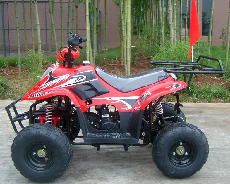 Tay trước đôi tay đòn 70cc ATV Quad Bike 80kg Max Đang tải hiệu suất cao