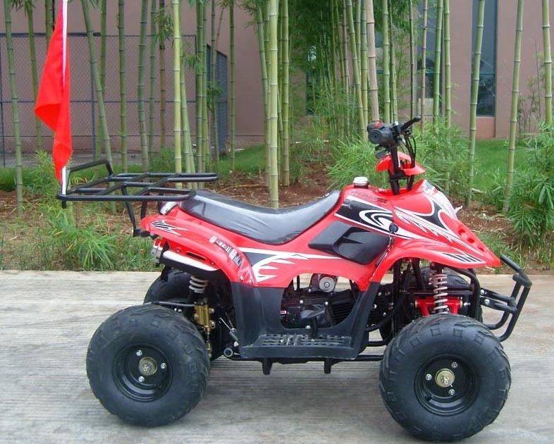 Tay trước đôi tay đòn 70cc ATV Quad Bike 80kg Max Đang tải hiệu suất cao