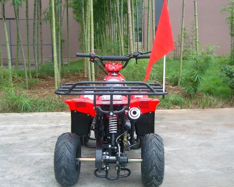 Tay trước đôi tay đòn 70cc ATV Quad Bike 80kg Max Đang tải hiệu suất cao