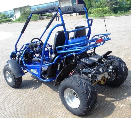 2,25 Gal 17,4 HP CDI Ignition 300cc CVT EFI Go Kart Buggy