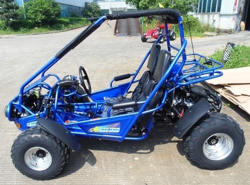 2,25 Gal 17,4 HP CDI Ignition 300cc CVT EFI Go Kart Buggy