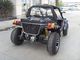 Automatic 450cc Subaru Engine 2 Wheel Go Kart Buggy With Closed Cover